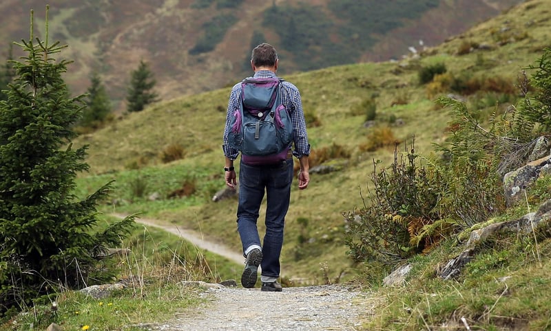 Mindful Hiking Image